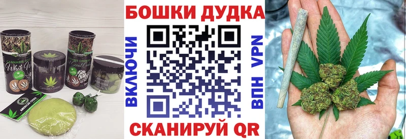Купить  Россошь  Canna-Cookies конопля 