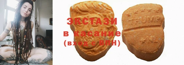 ГАЛЛЮЦИНОГЕННЫЕ ГРИБЫ Ельня