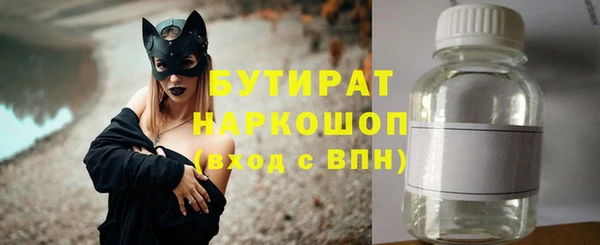 ГАЛЛЮЦИНОГЕННЫЕ ГРИБЫ Ельня