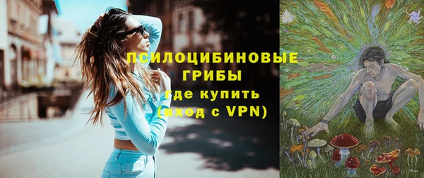 ГАЛЛЮЦИНОГЕННЫЕ ГРИБЫ Ельня