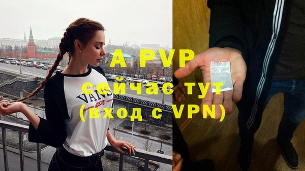ГАЛЛЮЦИНОГЕННЫЕ ГРИБЫ Ельня